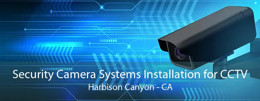 Security Camera Systems Installation for CCTV Harbison Canyon - CA