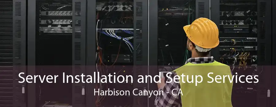 Server Installation and Setup Services Harbison Canyon - CA