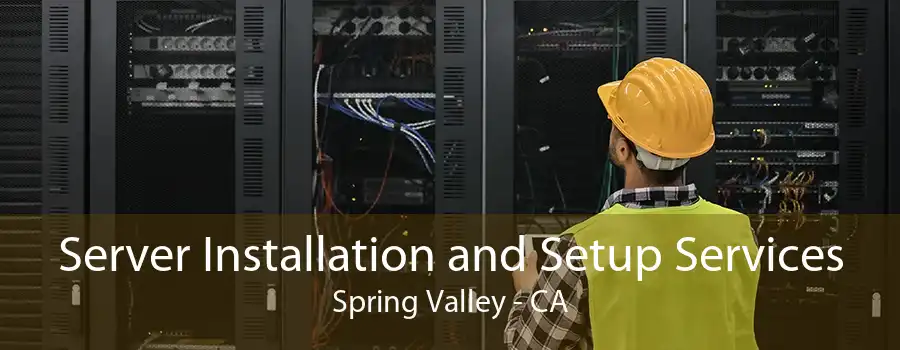 Server Installation and Setup Services Spring Valley - CA