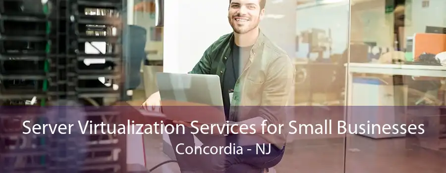 Server Virtualization Services for Small Businesses Concordia - NJ