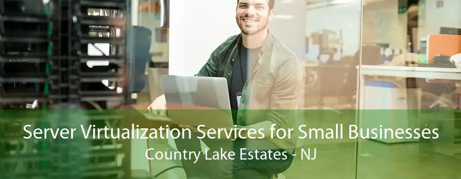 Server Virtualization Services for Small Businesses Country Lake Estates - NJ