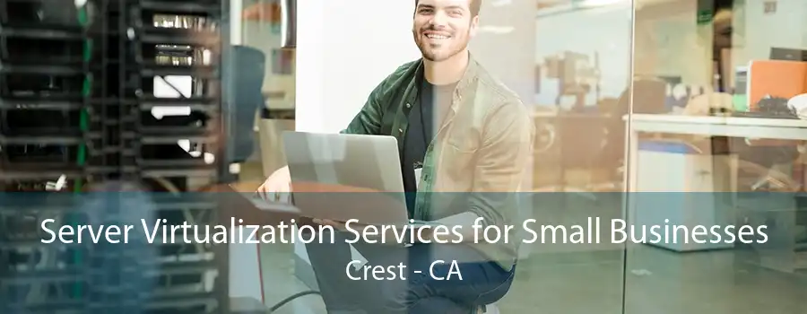 Server Virtualization Services for Small Businesses Crest - CA