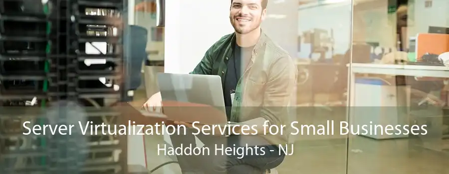 Server Virtualization Services for Small Businesses Haddon Heights - NJ