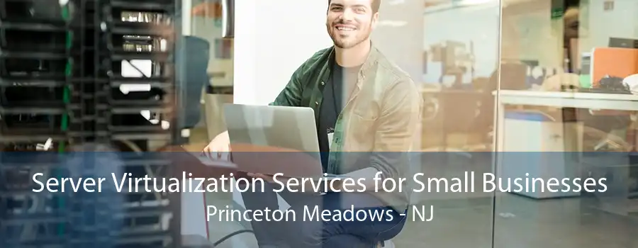 Server Virtualization Services for Small Businesses Princeton Meadows - NJ