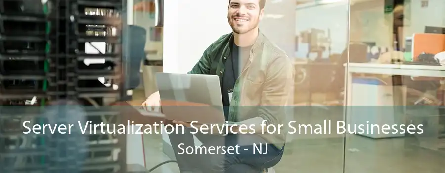 Server Virtualization Services for Small Businesses Somerset - NJ