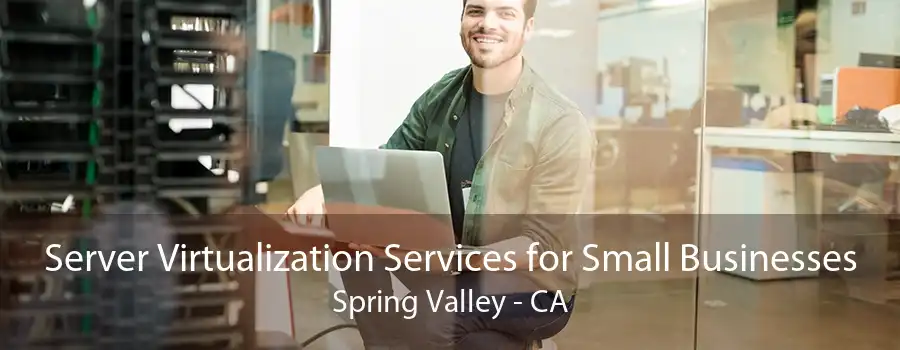 Server Virtualization Services for Small Businesses Spring Valley - CA