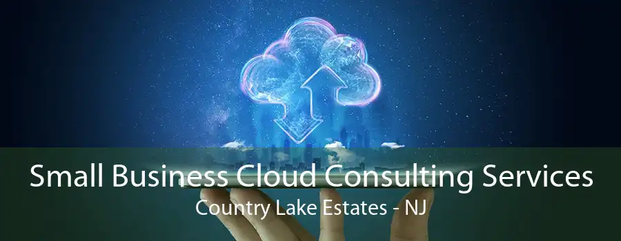 Small Business Cloud Consulting Services Country Lake Estates - NJ