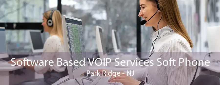 Software Based VOIP Services Soft Phone Park Ridge - NJ