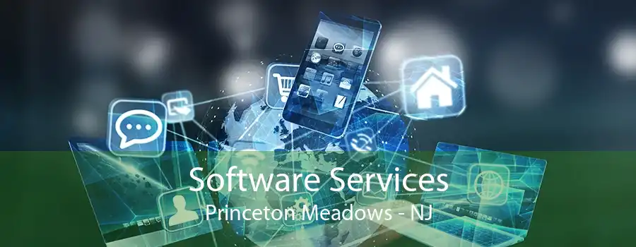 Software Services Princeton Meadows - NJ