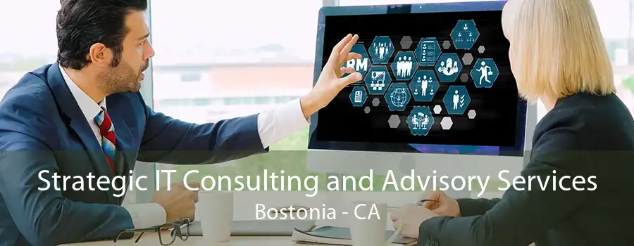 Strategic IT Consulting and Advisory Services Bostonia - CA