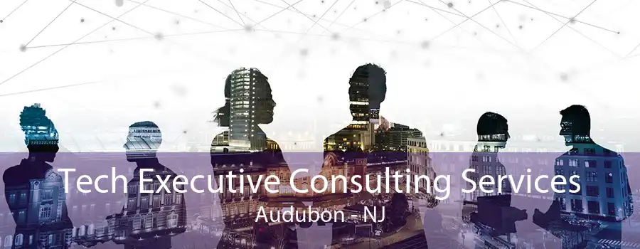 Tech Executive Consulting Services Audubon - NJ