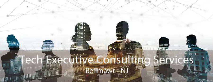 Tech Executive Consulting Services Bellmawr - NJ