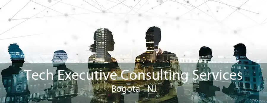 Tech Executive Consulting Services Bogota - NJ