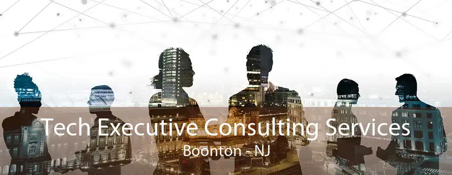 Tech Executive Consulting Services Boonton - NJ