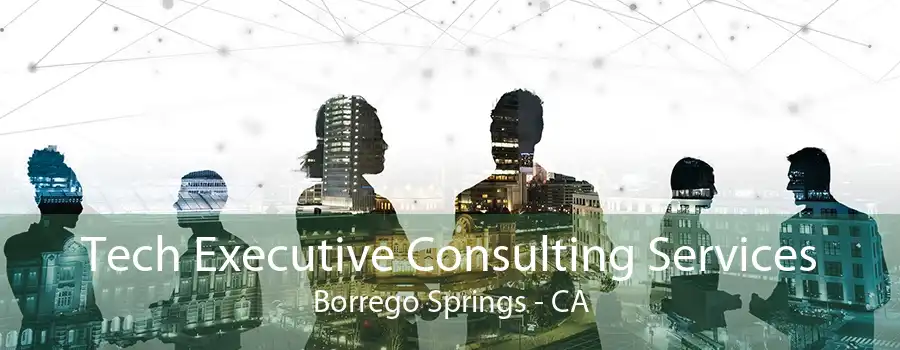 Tech Executive Consulting Services Borrego Springs - CA