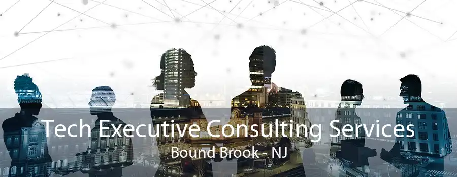 Tech Executive Consulting Services Bound Brook - NJ