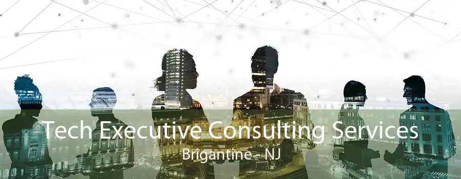 Tech Executive Consulting Services Brigantine - NJ