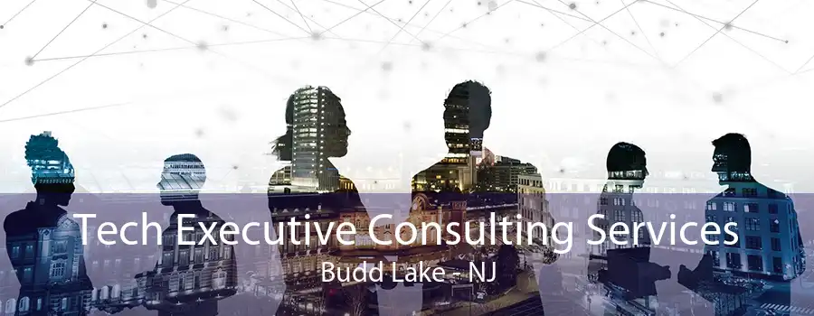 Tech Executive Consulting Services Budd Lake - NJ