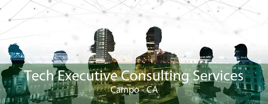 Tech Executive Consulting Services Campo - CA