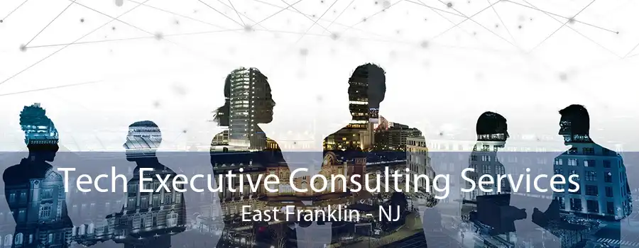 Tech Executive Consulting Services East Franklin - NJ