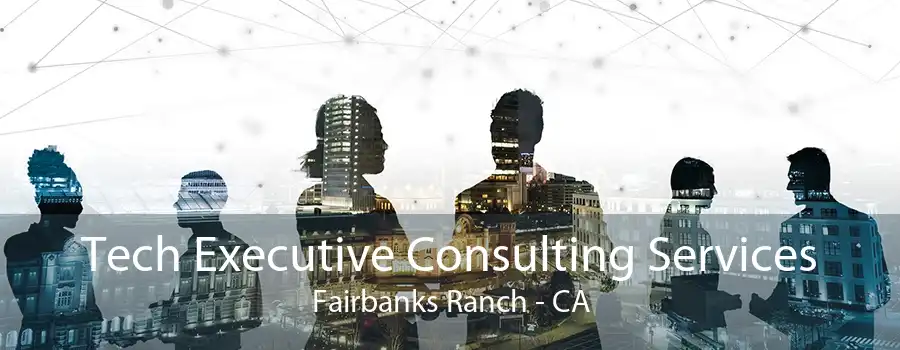 Tech Executive Consulting Services Fairbanks Ranch - CA