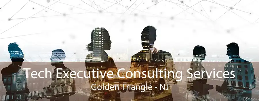 Tech Executive Consulting Services Golden Triangle - NJ