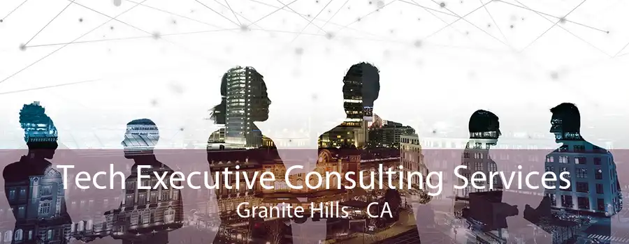 Tech Executive Consulting Services Granite Hills - CA