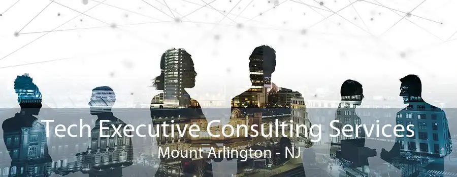 Tech Executive Consulting Services Mount Arlington - NJ