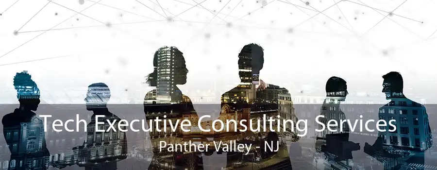 Tech Executive Consulting Services Panther Valley - NJ