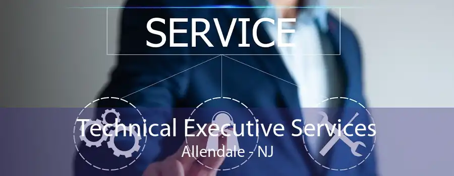 Technical Executive Services Allendale - NJ