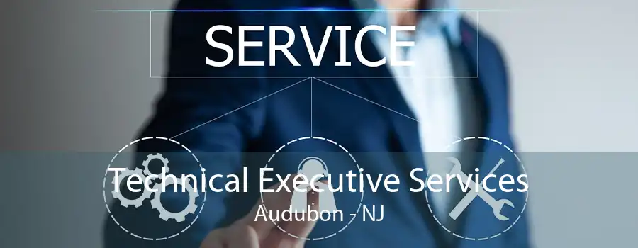 Technical Executive Services Audubon - NJ