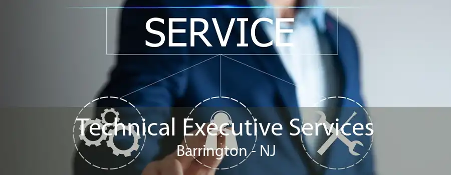 Technical Executive Services Barrington - NJ