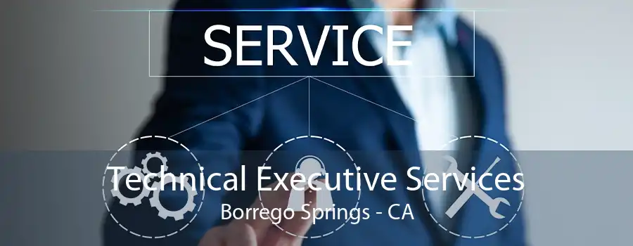 Technical Executive Services Borrego Springs - CA