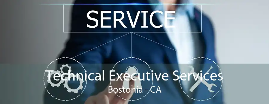 Technical Executive Services Bostonia - CA