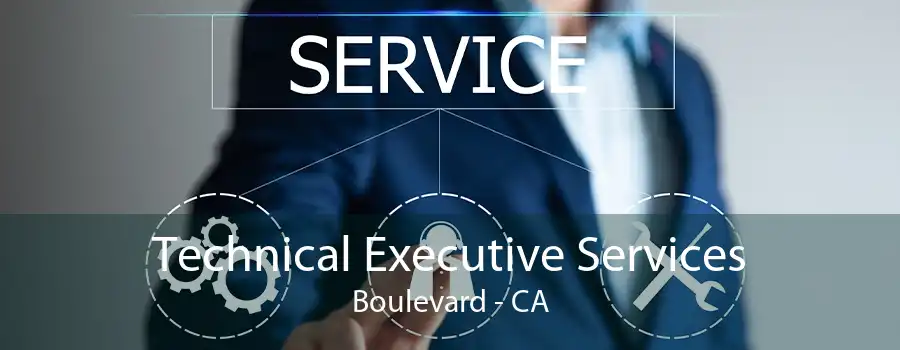 Technical Executive Services Boulevard - CA