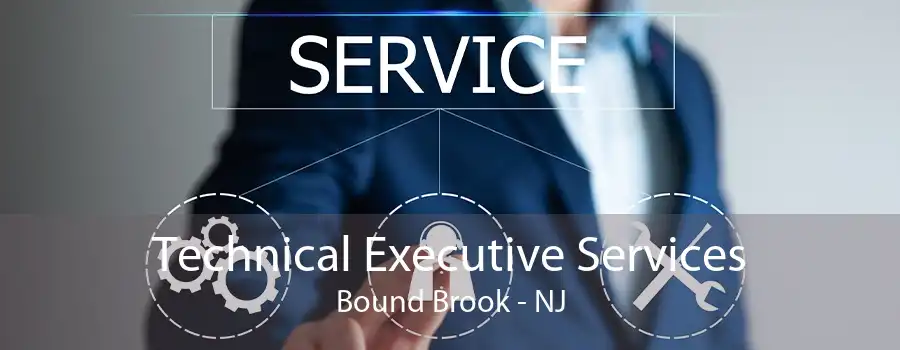 Technical Executive Services Bound Brook - NJ