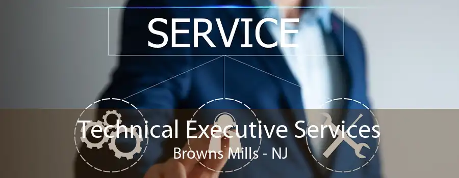 Technical Executive Services Browns Mills - NJ