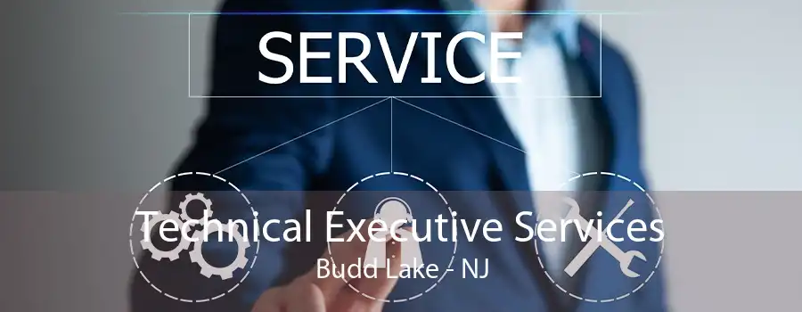 Technical Executive Services Budd Lake - NJ