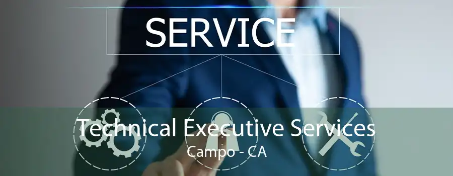 Technical Executive Services Campo - CA