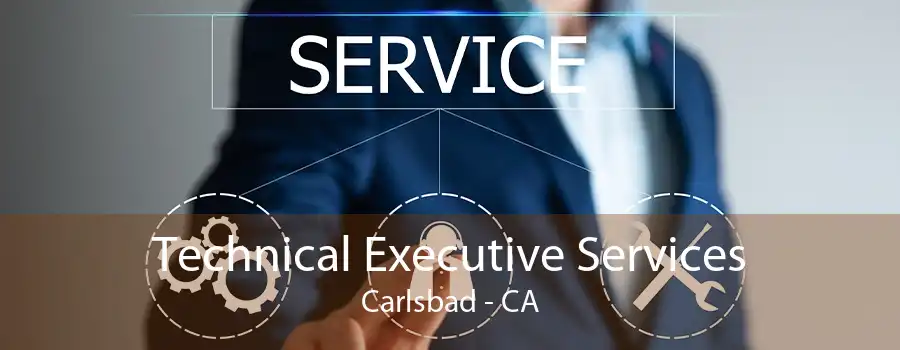 Technical Executive Services Carlsbad - CA