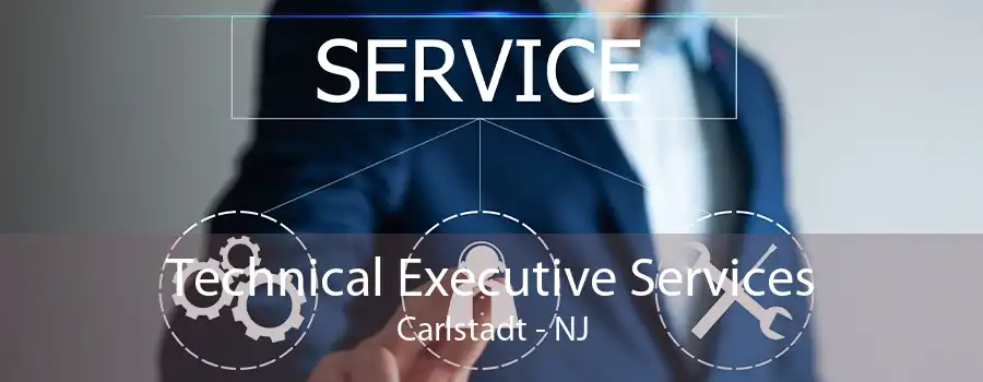 Technical Executive Services Carlstadt - NJ