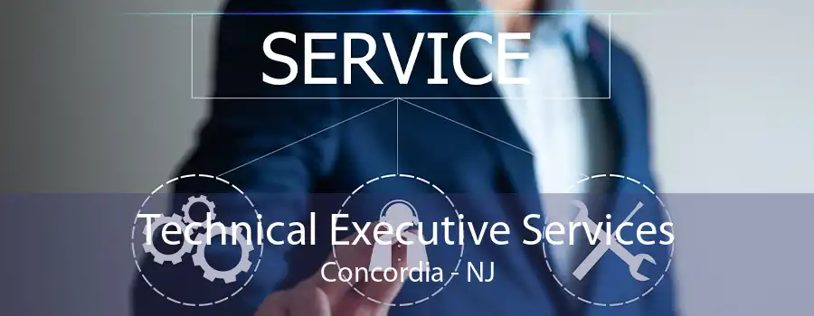 Technical Executive Services Concordia - NJ