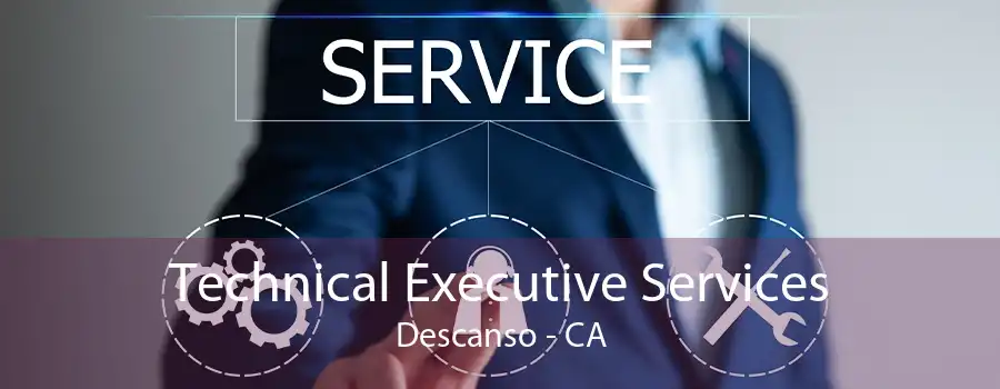 Technical Executive Services Descanso - CA