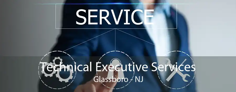 Technical Executive Services Glassboro - NJ