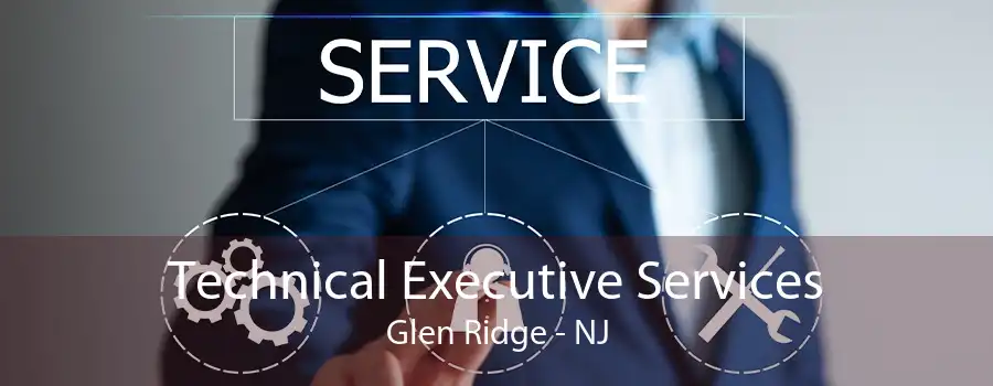 Technical Executive Services Glen Ridge - NJ