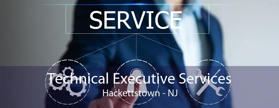 Technical Executive Services Hackettstown - NJ