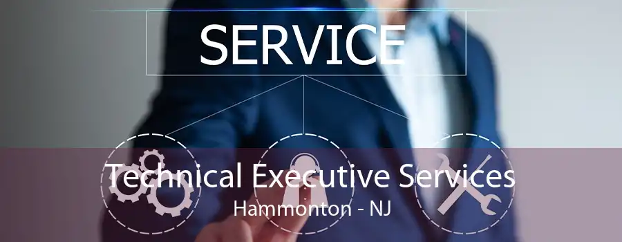 Technical Executive Services Hammonton - NJ