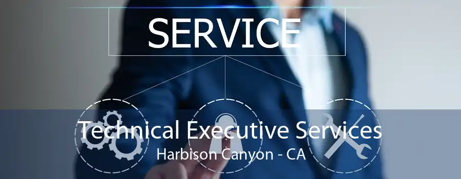 Technical Executive Services Harbison Canyon - CA