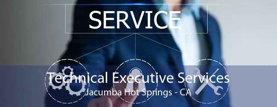 Technical Executive Services Jacumba Hot Springs - CA