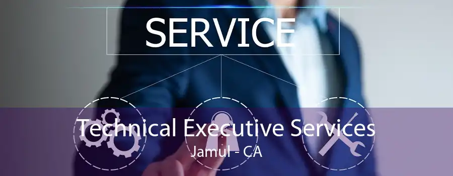 Technical Executive Services Jamul - CA